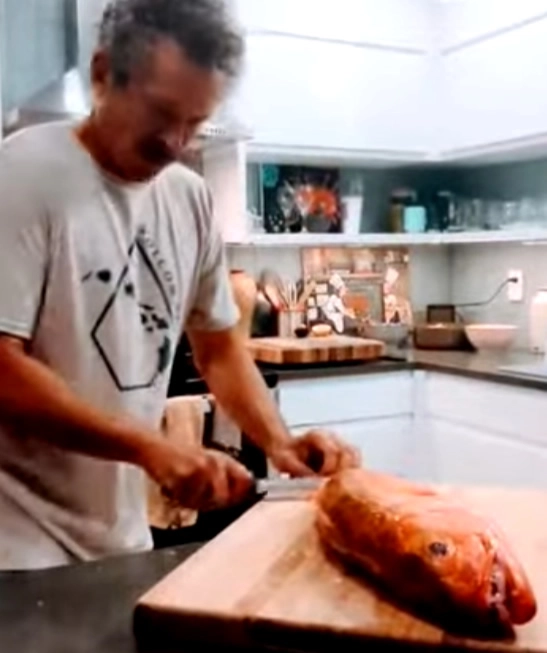Hawaii red snapper